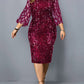 Women's Sequin Design Dress